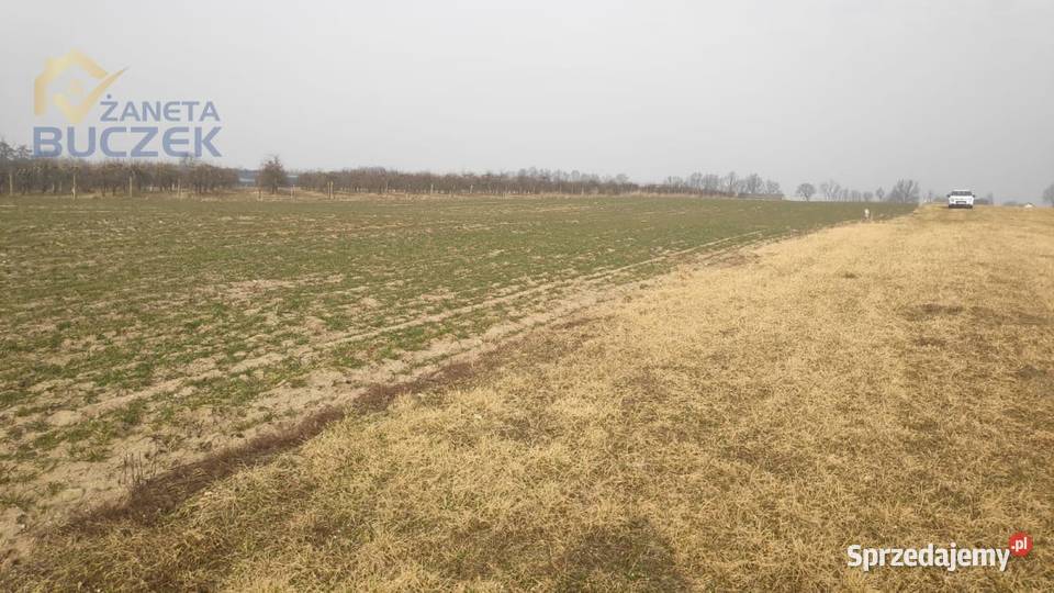 Sprzedam działki rolne z WZ w miejscowości Strzyżew sprzedam