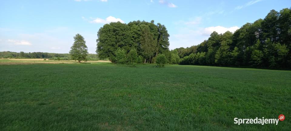 Sprzedam działkę rolną z możliwością zabudowy mazowieckie Ostrów Mazowiecka