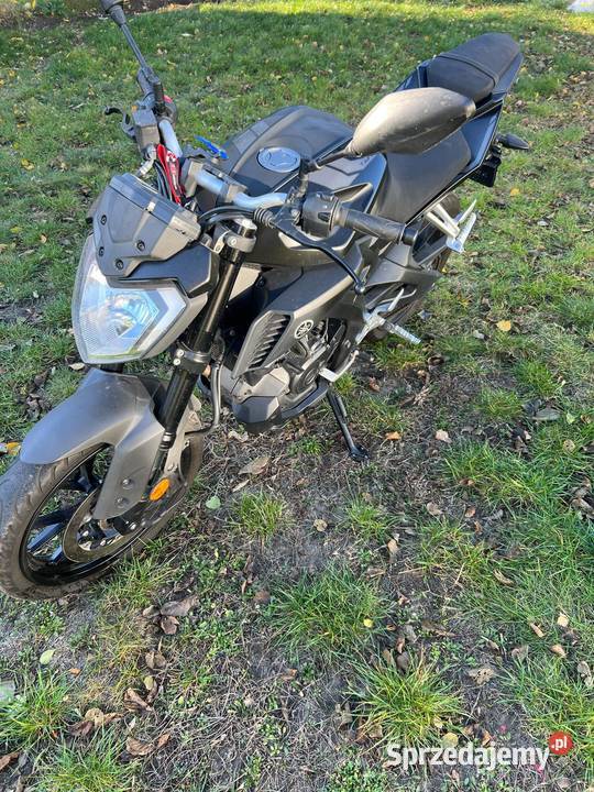 Yamaha Mt 125 Konin