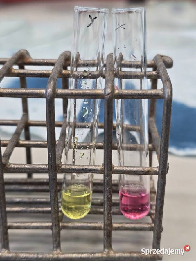Korepetycje do Matury 2027 z biologii i chemii Chwaszczyno