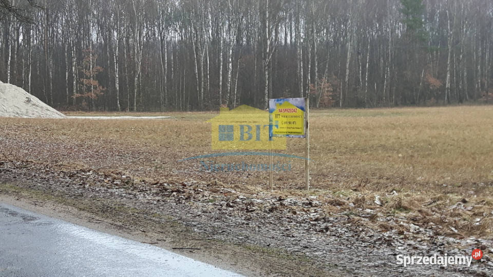 Działka rolna 342 ha ładne położenie Stare Gonne