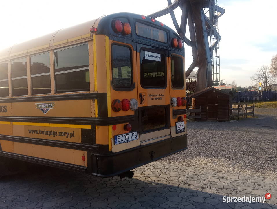 Autobus szkolny School Bus Autobusy i minibusy Żory