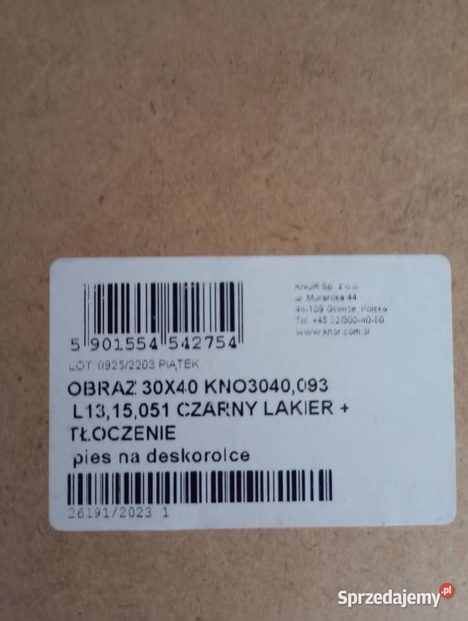 Obraz pies na deskorolce 30x40 Szczecin