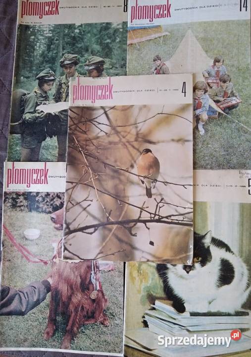 Czasopisma płomyczek Biskupiec