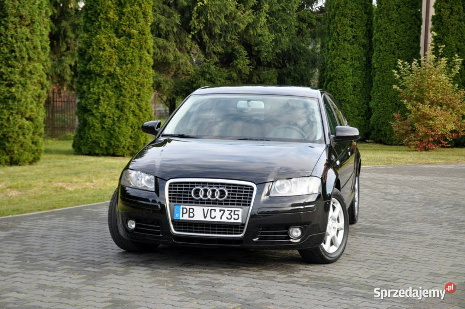 Audi A3 19TDI105CzarnaKlimatronikGrzane Ostrów Mazowiecka