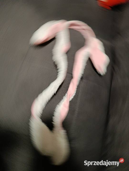 białoróżowa opaska z uszami królik z ruchomymi wielkopolskie Poznań