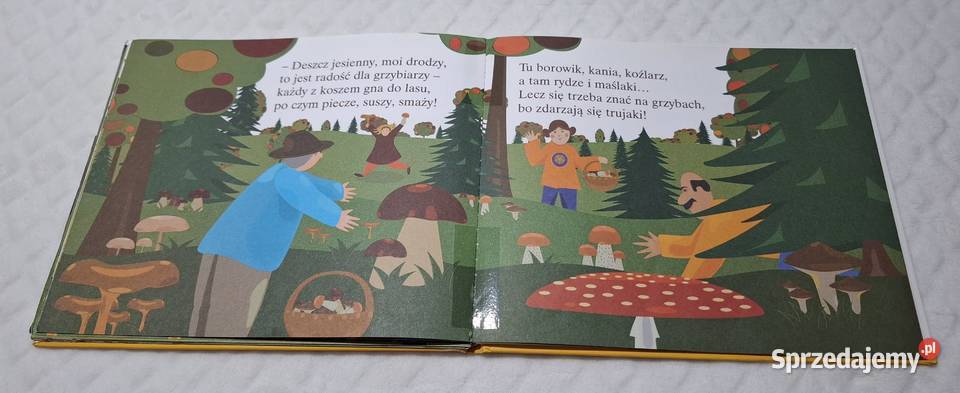 ABC Uczę się Jesień Strzałkowska Hachette 2007 śląskie Czeladź sprzedam