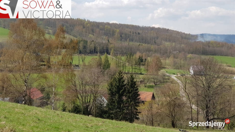 Widokowa działka w Górach Sowich dolnośląskie Jugowice