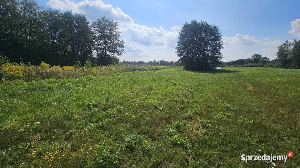 Działka rolnarekreacyjna 12ha ze stawkami w Szklary Dolne