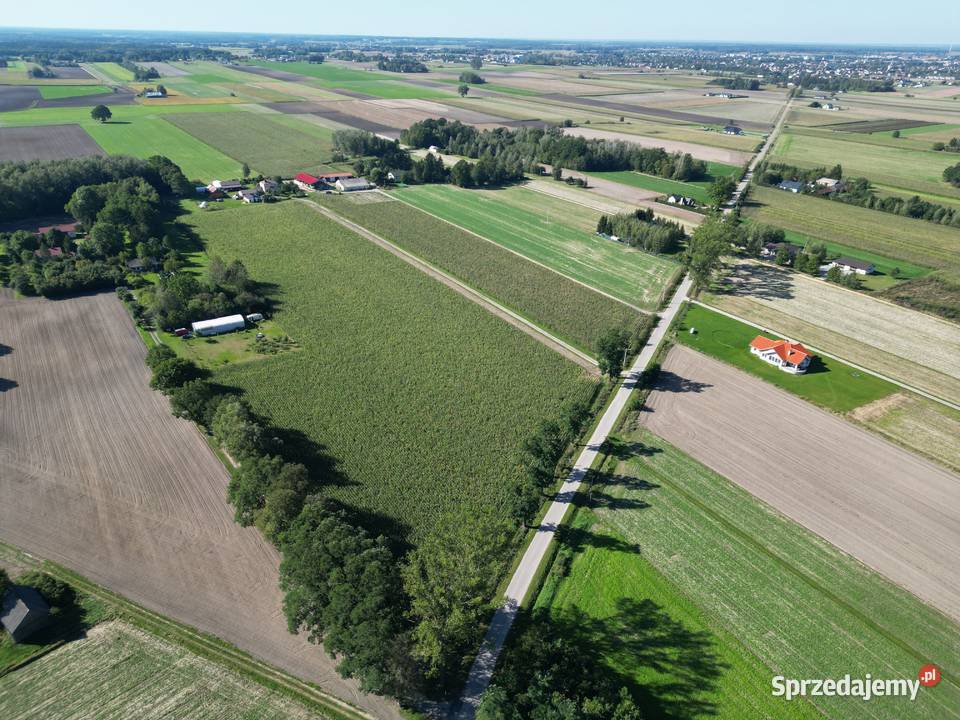 Podrogów piękne działki z WZ w spokojnej okolicy Sokołów Podlaski