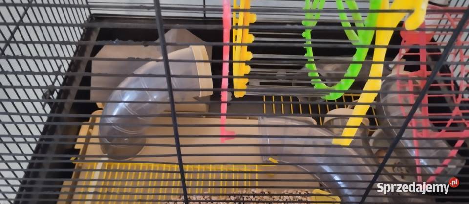Klatka z akcesoriami pokarm Bydgoszcz