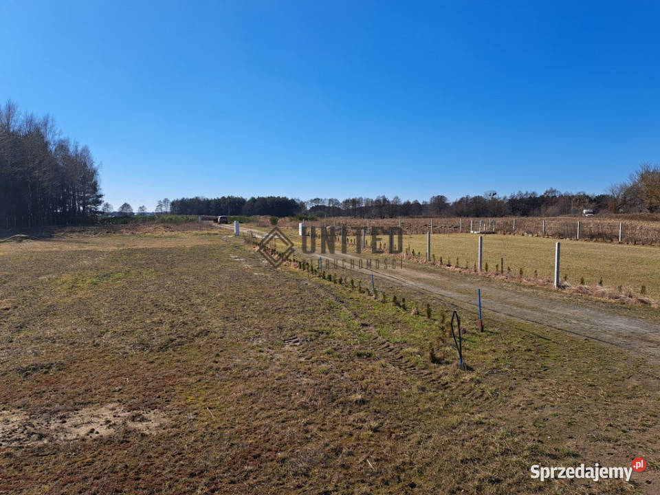 Działki budowlane Miłocice Małe asfalt Sprzedaż