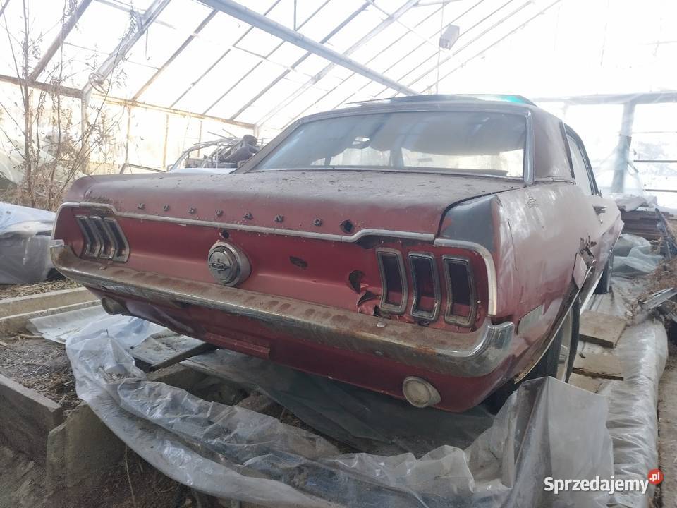 Ford Mustang 1968 automatyczna Lublin
