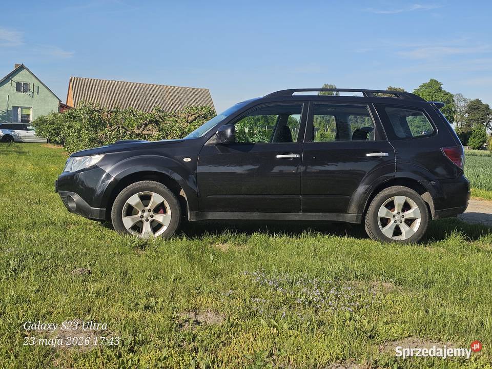 Subaru Forester 20D ASR (kontrola trakcji) kujawsko-pomorskie Koneck sprzedam