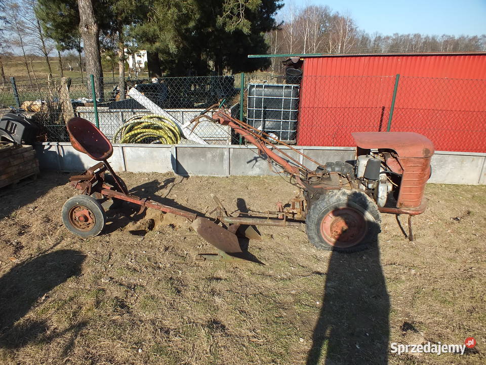 Dzik 221 Sprawny Osprzęt Kurier ŚLĄSK Golasowice