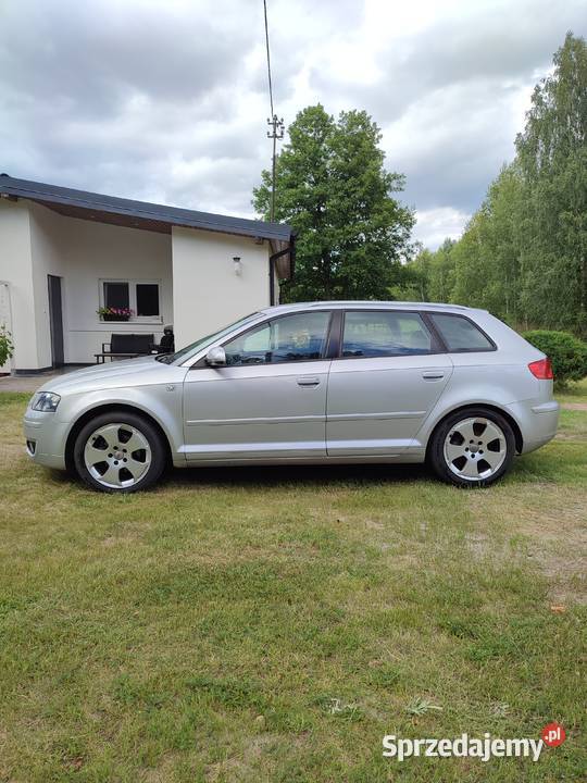 Audi A3 8P Sportack 19 tdi A3 Wielki Wełcz