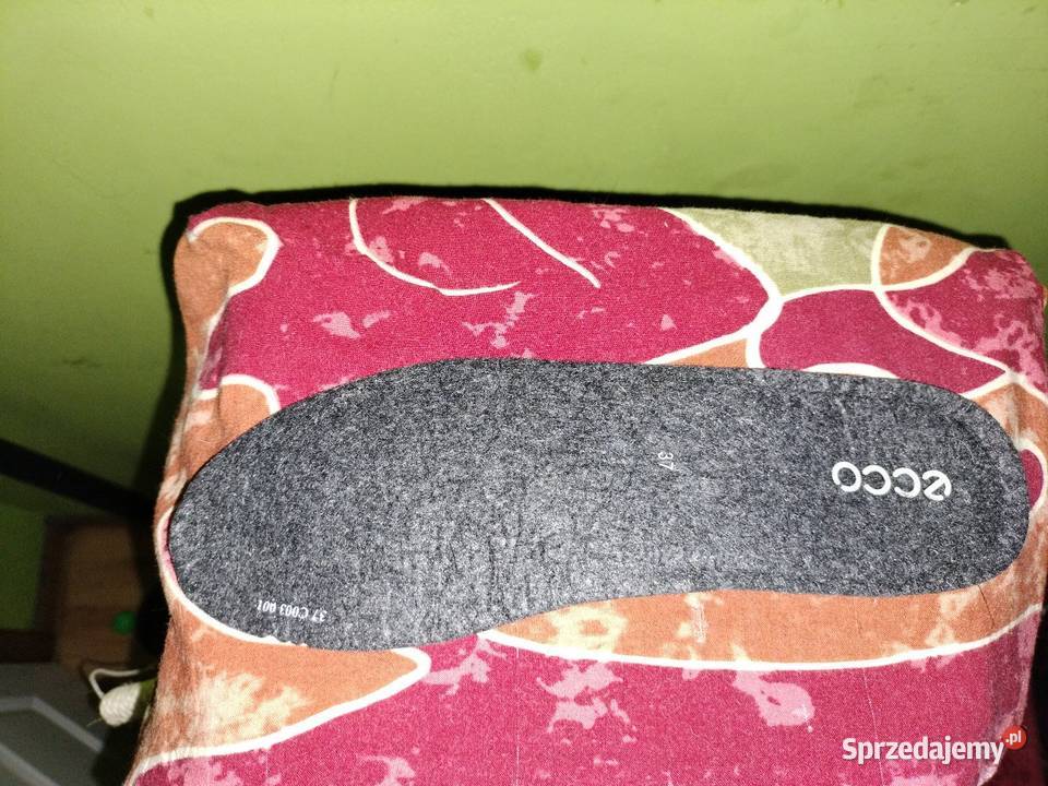 Buty Ecco GoreTex rozmiar Kobyłka