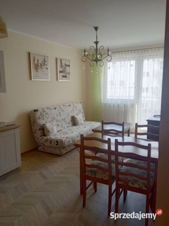 nowe mieszkanie do wynajęcia Gorzów Wlkp Górczyn Gorzów Wielkopolski sprzedam