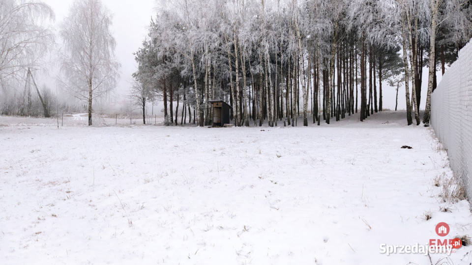 Działka Krynice 2181m2