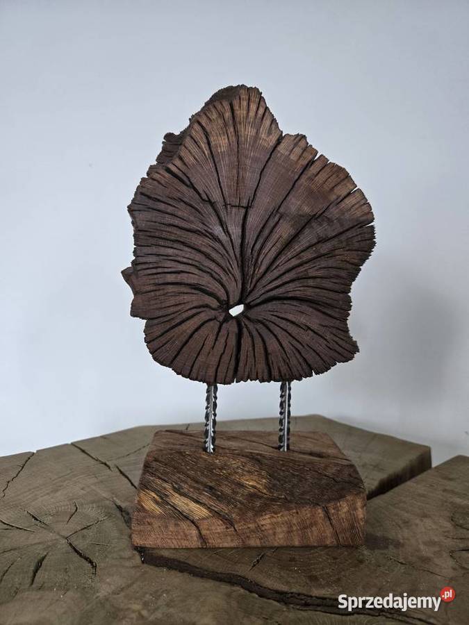 Ozdoba drewniana dębowa z korzenia Trzciel