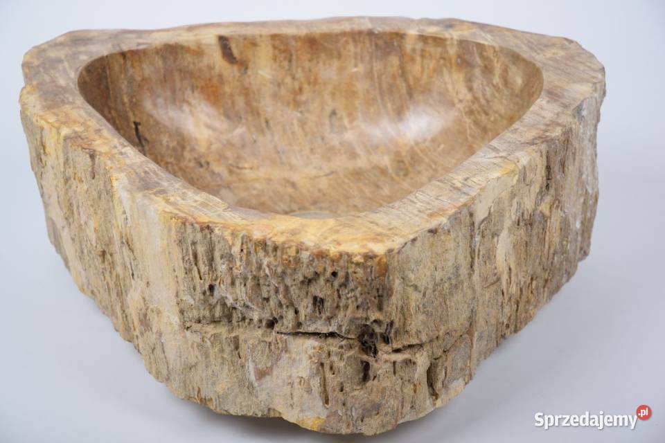 Fossil Wood SMALL SALAWATI SW31 kamienna Gdynia