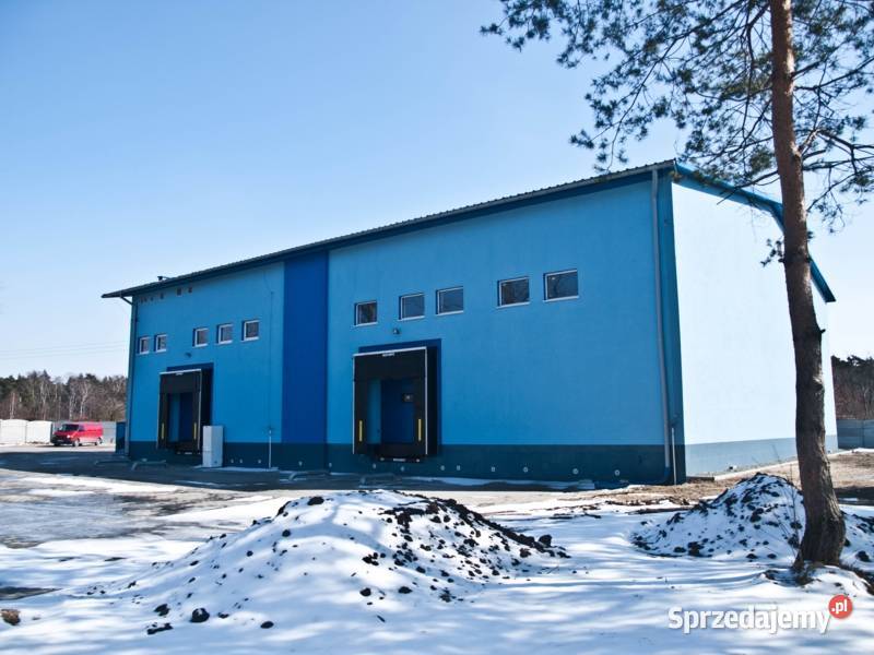 Kompleks nieruchomości zabudowany budynkiem