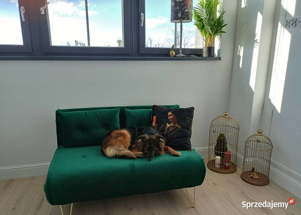 2pok 35met Okolicach Jana III Sobieskiego WINDA Sprzedaż Wrocław