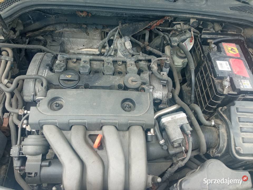 Audi A3 8P wszystkie części Chełm