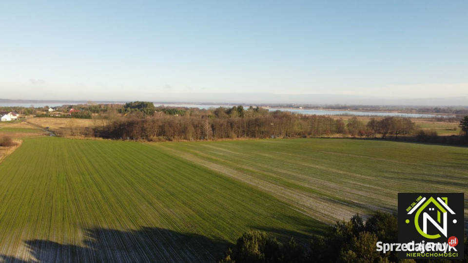 Działkę sprzedam 10061m2 Kołczewo Sprzedaż zachodniopomorskie sprzedam