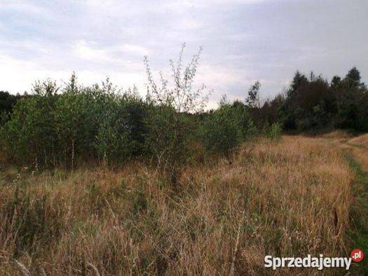 Do Działka Rolna w gm Strzegowo Mława