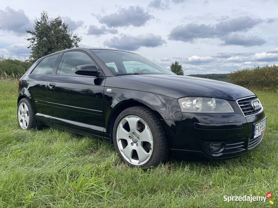 Audi A3 8P 20 TDi hatchback
