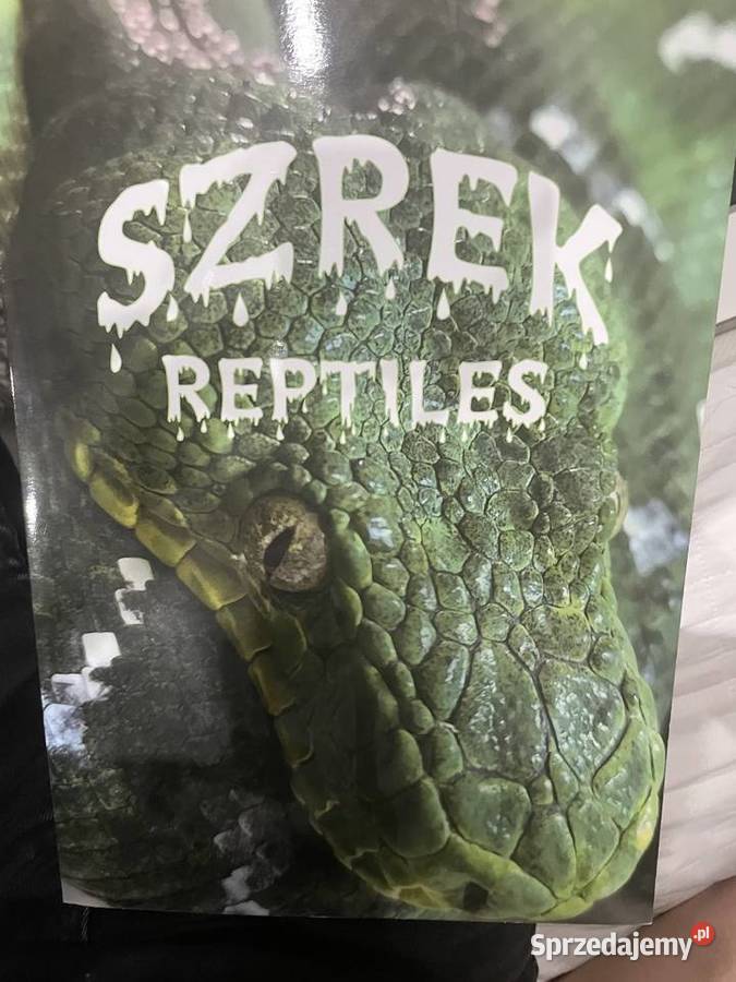 Pyton królewski samiec z terrarium 80x50x40 Ostrołęka