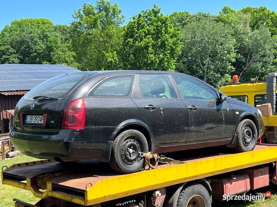 Nissan Primera 19 dCi Motoryzacja sprzedam