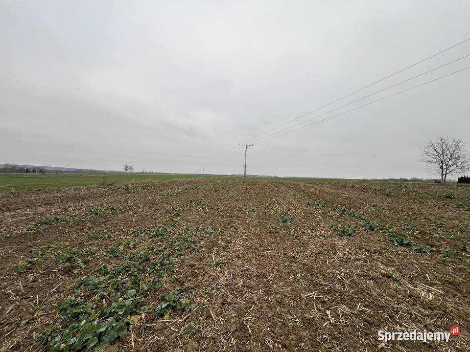 Bychawka DrugaKolonia działka budowlana 18ar Bychawka Druga-Kolonia