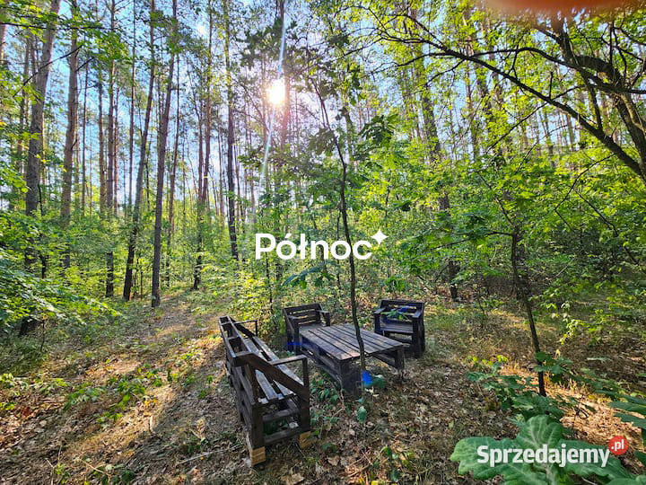 Leśniczówka bez sąsiadów prywatny las Rogoźniczka
