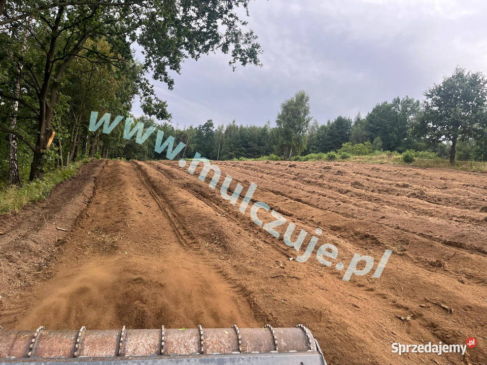 Wycinka drzew Karczowanie rekultywacja działek Kraków prace ogrodowe