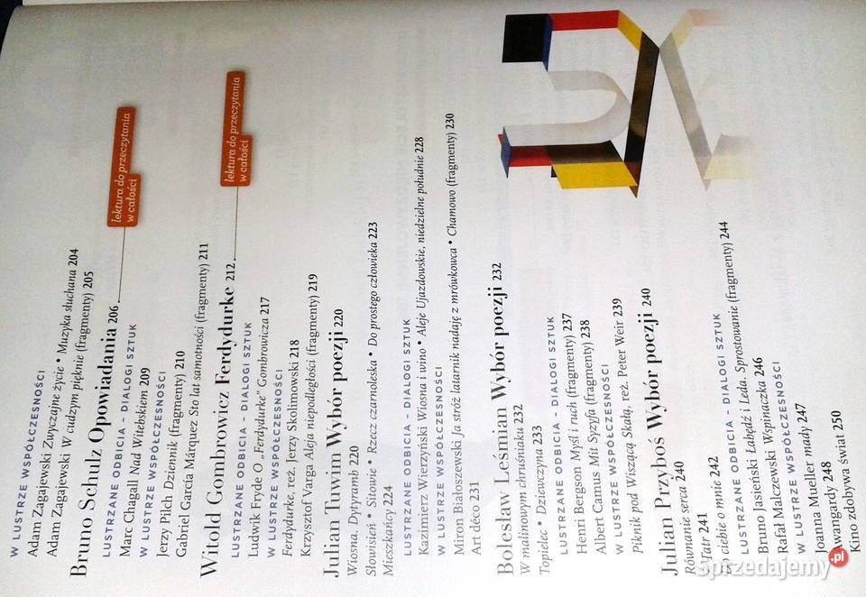 Nowe lustra świata 4 W Babiński M Pabisek A Pozostałe lubelskie sprzedam