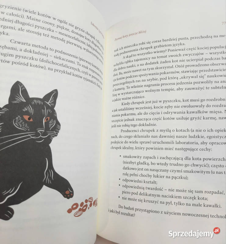 Sekretne życie kotów Andrzej Kruszewicz Kraków sprzedam