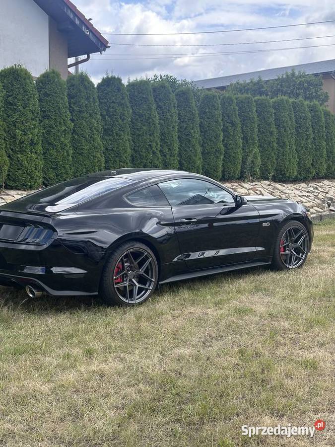 Ford mustang 50 GT Nysa