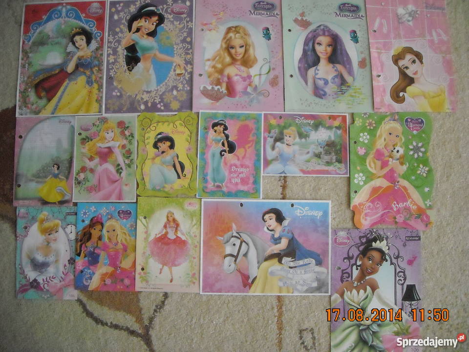 Karteczki 231 3segregatory Pozostałe Jasło