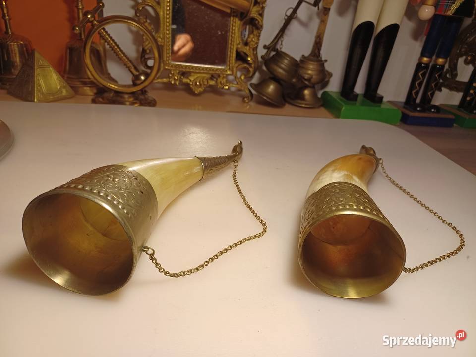 Piękny róg okuty mosiądzem