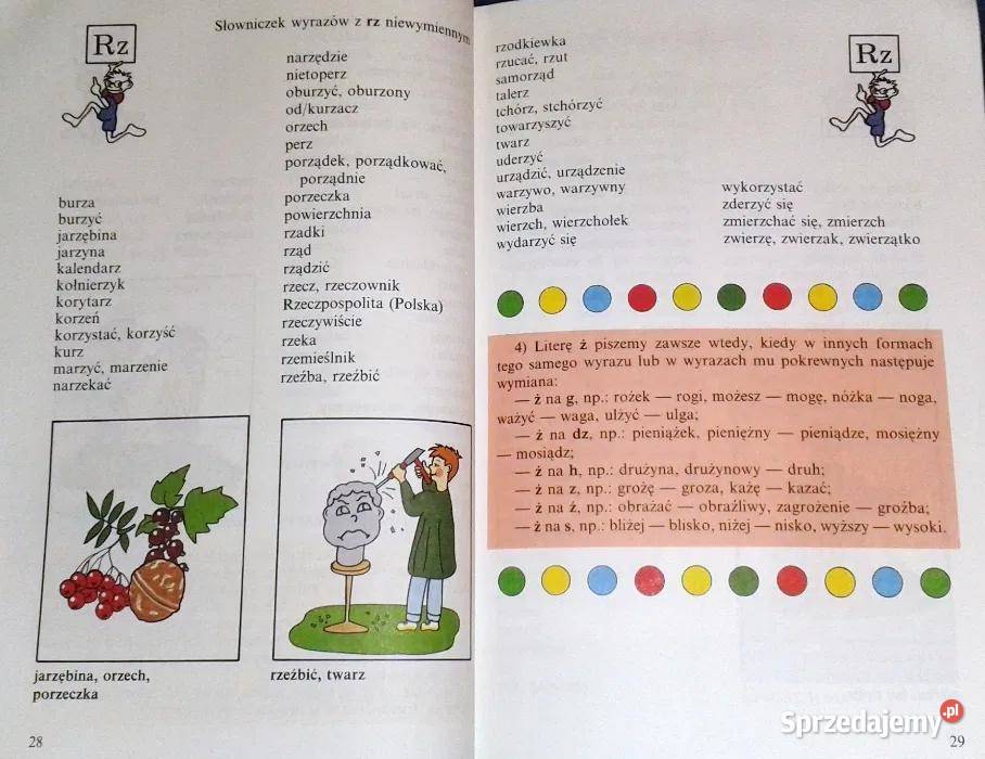 Ilustrowany słownik ortograficzny kl 13 lubelskie Chełm