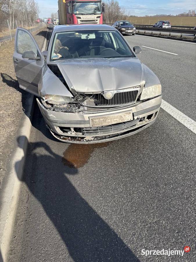 Skoda Octavia II 16 MPI 102 LPG 2007 199 ASR (kontrola trakcji) Cichawa