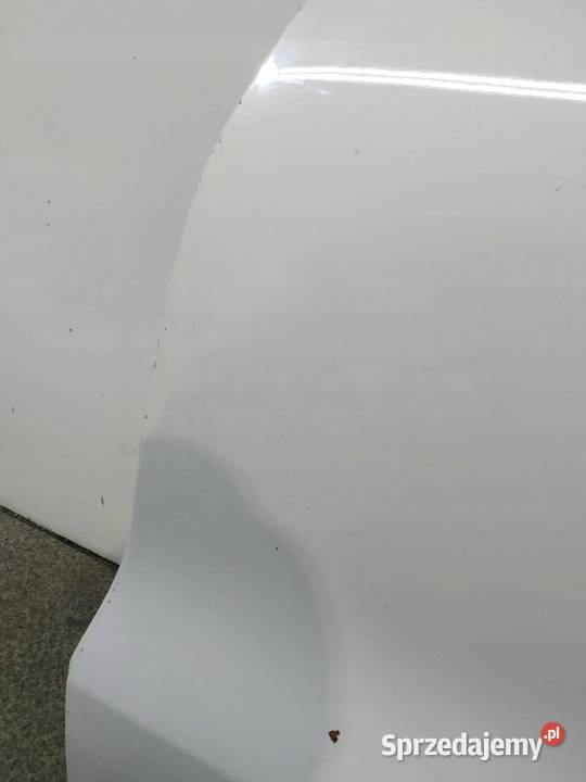 DRZWI LEWE TYŁ BIAŁE VW Volkswagen Tiguan I świętokrzyskie