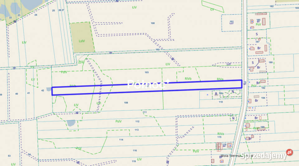 Działki rolne Wola Wereszczyńska gmina Urszulin