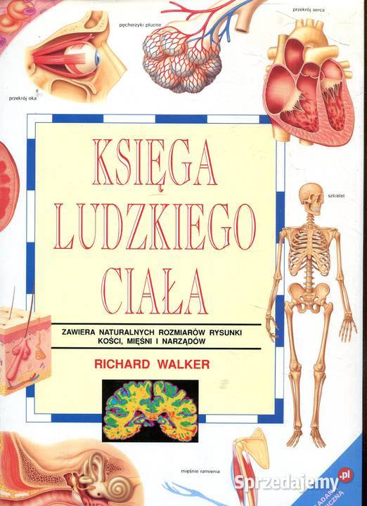 Księga ludzkiego ciała Richard Walker Pozostałe zachodniopomorskie Szczecin