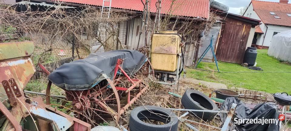 Sadzarka kopaczka do ziemniaków siewnik i śląskie Jastrzębie-Zdrój