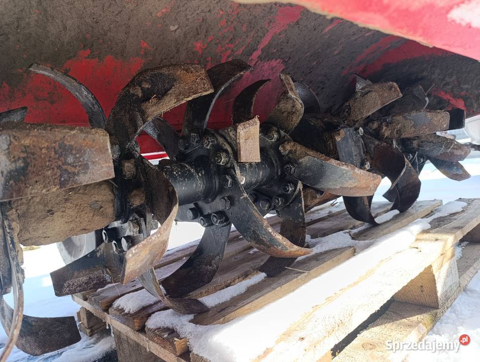 Glebogryzarka Lisicki