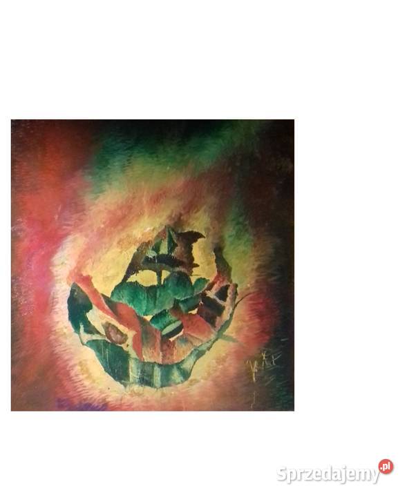 Robaki Głębin podkarpackie Jarosław