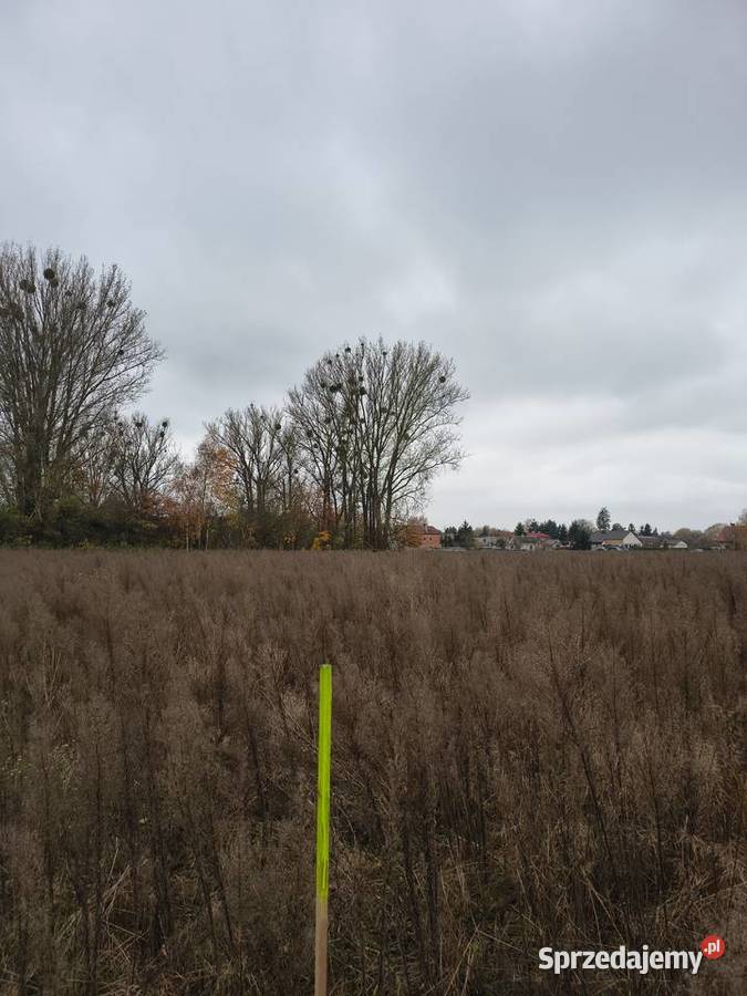 Sprzedam bezpośrednio działkę budowlaną